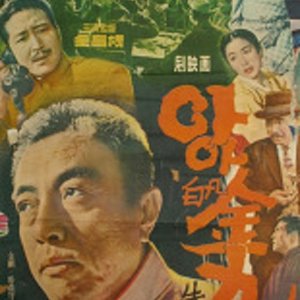 Ah! Baekbeom Kim Ku (1960)