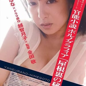 Kannou Shousetsu Pornographia: 'Yaneura No Himegoto' (2014)