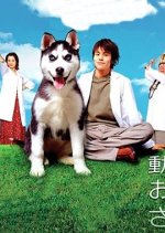 Dobutsu no Oisha-san Japanese Drama photo