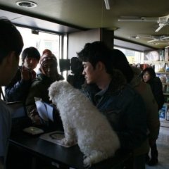 So Very Very Korean Movie photo