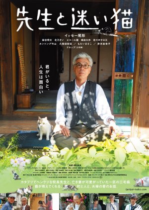 Teacher And Stray Cat (2015) poster