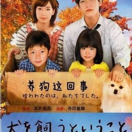 Kamisama no Boto  (2013)