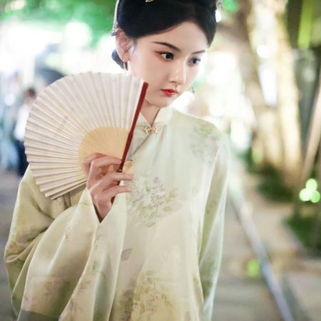 Biao Mei Wan Fu ()