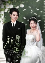 Wish You a Speedy Reunion Chinese Drama(2025) photo