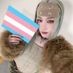 Trans BL Fans!!