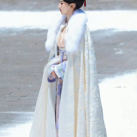 The Palace Stewardess ()