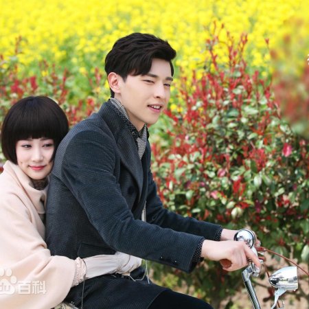 Blossom in Heart (2019)