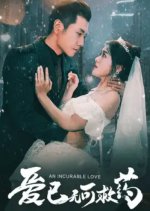 An Incurable Love Chinese Drama(2024) photo
