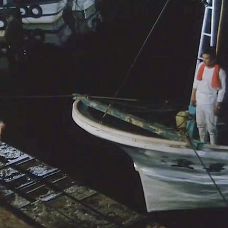 The Catch (1983)