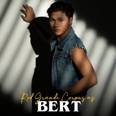 The Perfect Heartbreak Philippines Drama photo