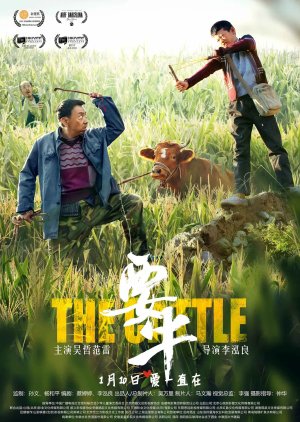 The Cattle poster
