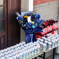 Qing Qing Zi Jin Chinese Drama(2025) photo