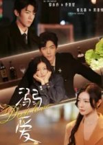 Deep Love Chinese Drama(2024) photo