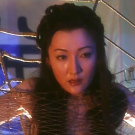 A Chinese Torture Chamber Story (1994)