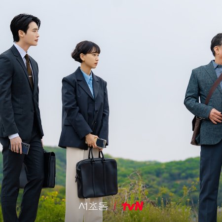 Law and the City (2025)