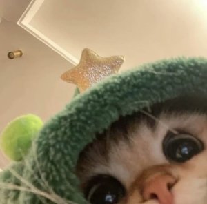 fairyliia 