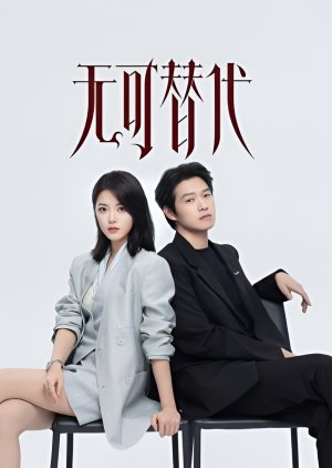 Irreplaceable (0000) poster