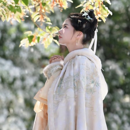 Liang Chen Mei Jin ()