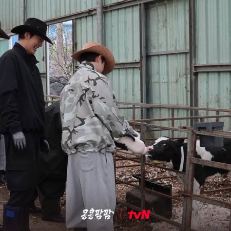 GBRB: Farm Operation - Go Go Farm (2026)