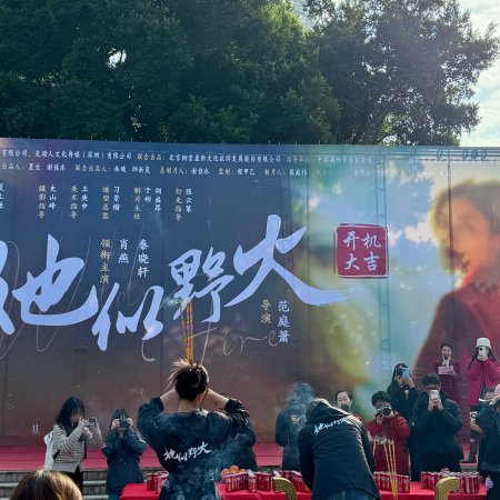 Ta Si Ye Huo ()