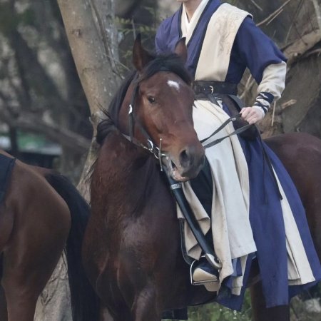 Tian Du Yi Wen Lu ()