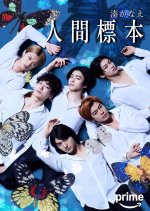 Human Specimens Japanese Drama(2025) photo