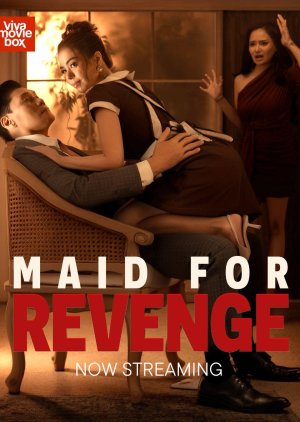Maid for Revenge (2025) poster