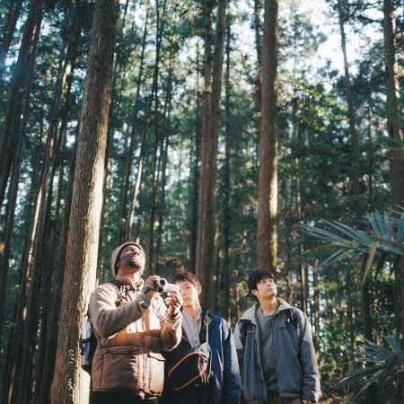 The Place before Daybreak (2025)
