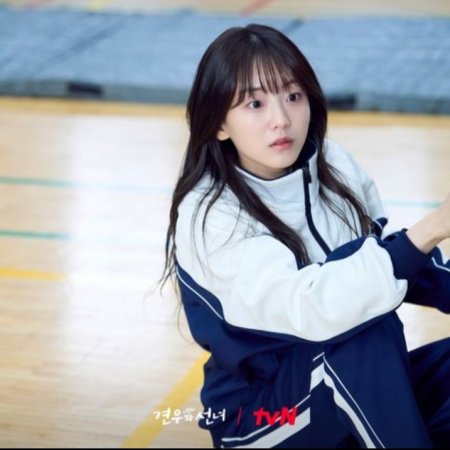 Head over Heels (2025)