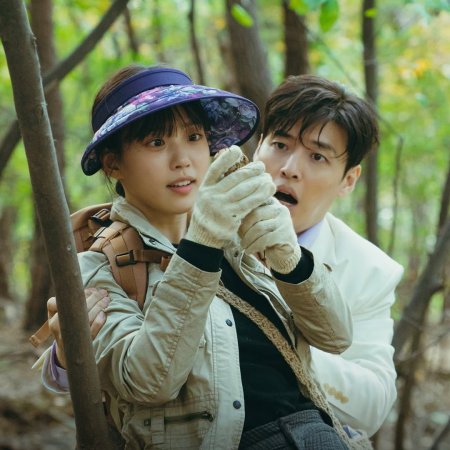 Your Taste (2025)