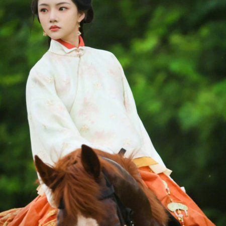Liang Chen Mei Jin ()