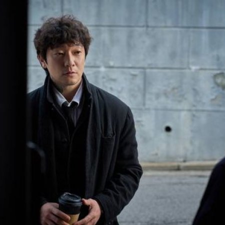 Nine Puzzles (2025)