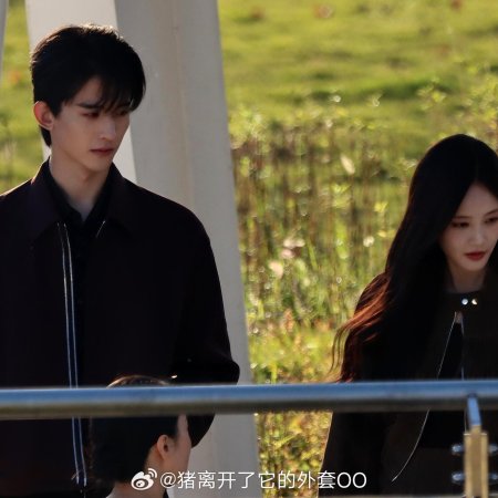 The Vanishing Beauty ()