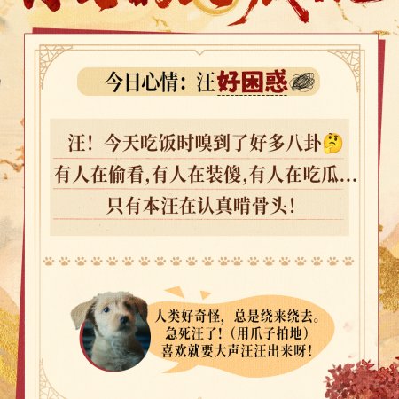 Fight for Love (2025)