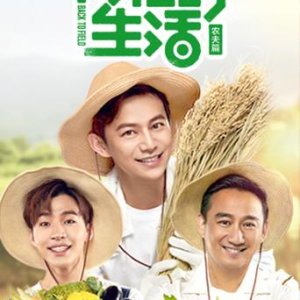 Back to Field (2017)