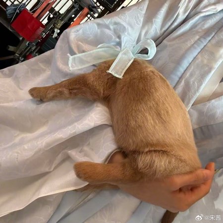 Fight for Love (2025)