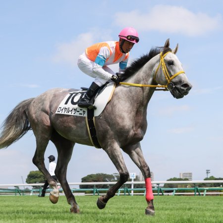 Passing the Reins (2025)