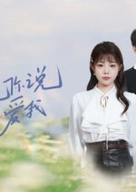 Embrace You across Time Chinese Drama(2025) photo