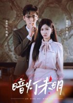 In Dim Light Chinese Drama photo