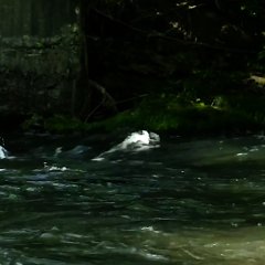 Restart Japanese Movie(2021) photo