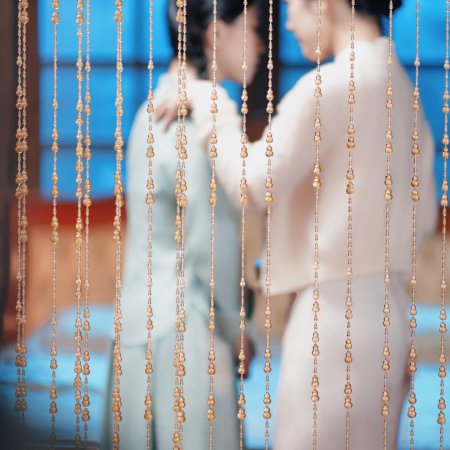 Long Zhong Zhi Chen (2025)