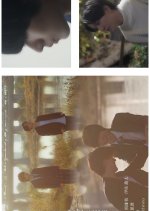 My Teacher Spoils Me — Lemon Candy, Love’s Flavor