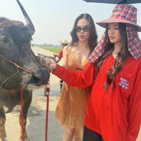 Hometown Romance (2026)