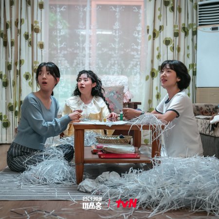 Undercover Miss Hong (2026)