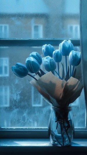 nocte_hush