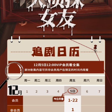 The Girlfriend Detective (2025)