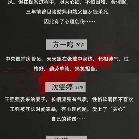 The Girlfriend Detective (2025)