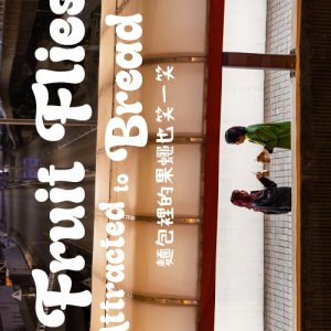 The Fruit Flies Attracted to Bread (2026)