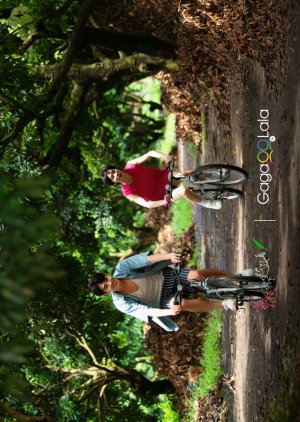 Secrets Happened on the Litchi Island (Movie Version) (2025) poster