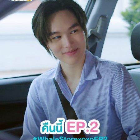 Whale Store xoxo (2025)